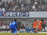 四季情報冬
