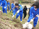 四季情報冬