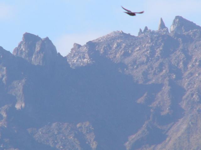 2010.11.11 1990年11月の噴火から丸20年。写真は平成新山。