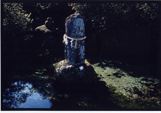 2011.01.01 新年号の写真=二科会の宮崎圭介さん撮影
