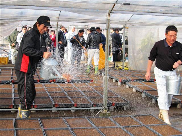 2011.02.02 1日に行われた葉たばこの種まき