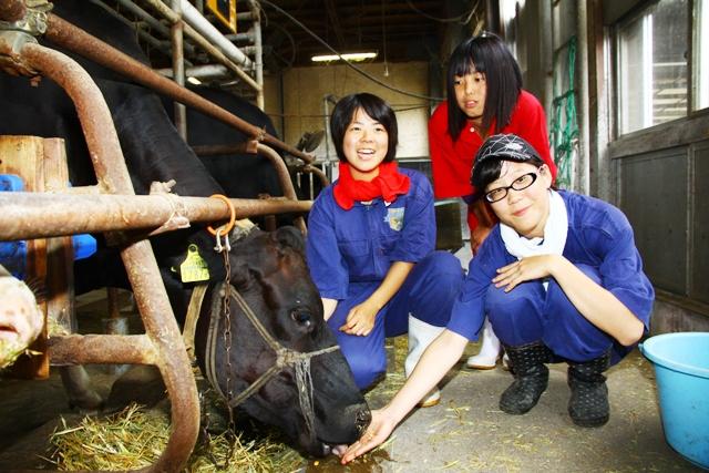2011.07.23 島原農高の乳牛が都府県3位に