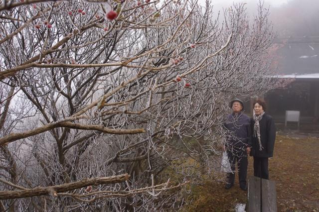 2012.11.15 雲仙で今季初の霧氷